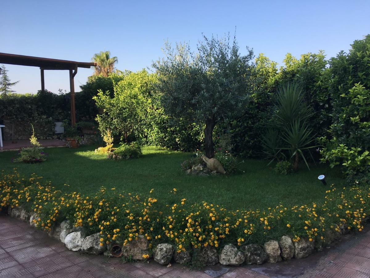 Апартаменты ***** La Casa Di Gio Кальтаниссетта Экстерьер фото